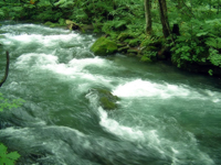 「上善如水」水から学ぶ組織のあり方　最近の不祥事から組織のあり方を再考する